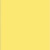 Variation picture for 694 პასტელური ყვითელი